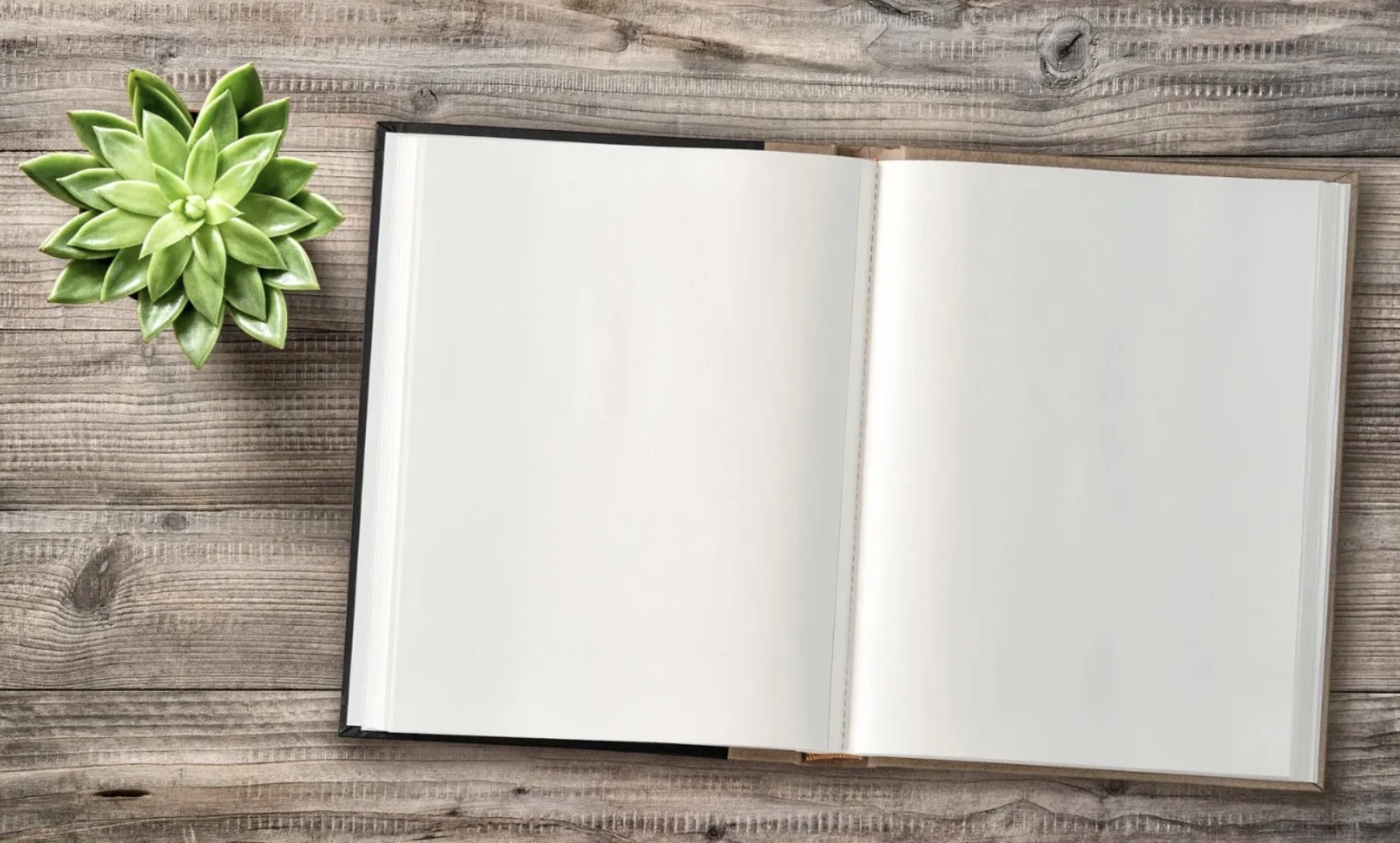Open book on a wooden surface beside a small succulent plant